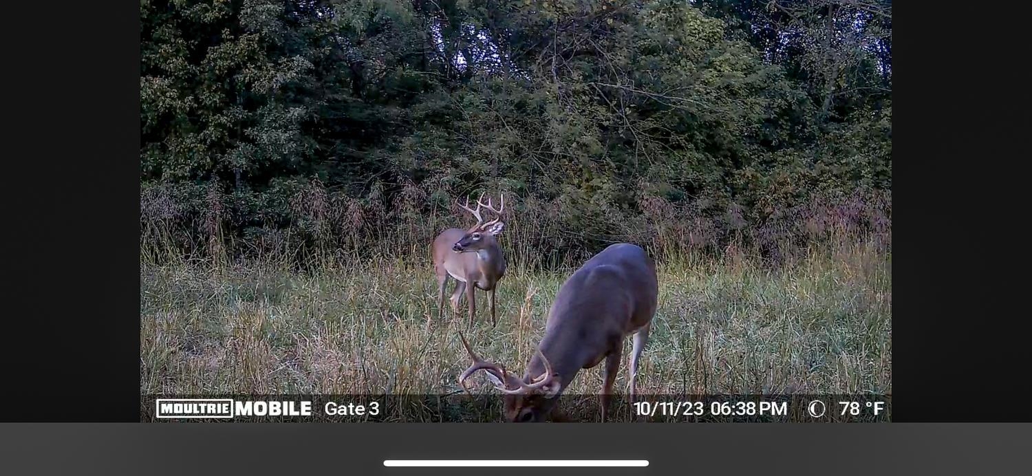 1040 Barlow Road Ripley, TN 38063 - Photo 5 of 35