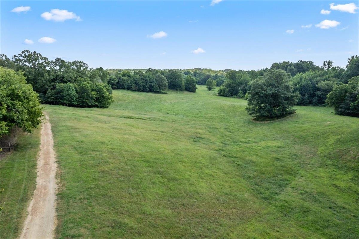 1040 Barlow Road Ripley, TN 38063 - Photo 7 of 35 a view of a big yard with green space