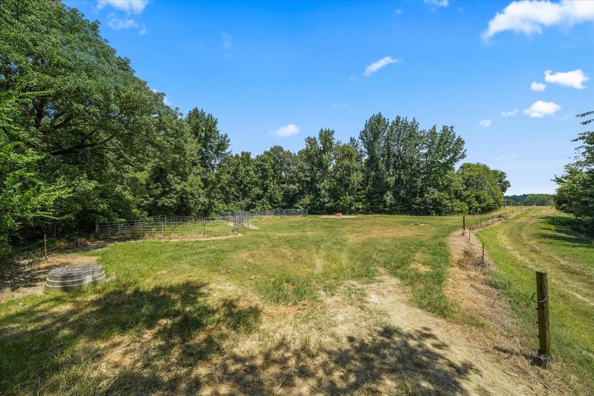 1040 Barlow Road Ripley, TN 38063 - Photo 10 of 35 a view of yard with swimming pool and green space