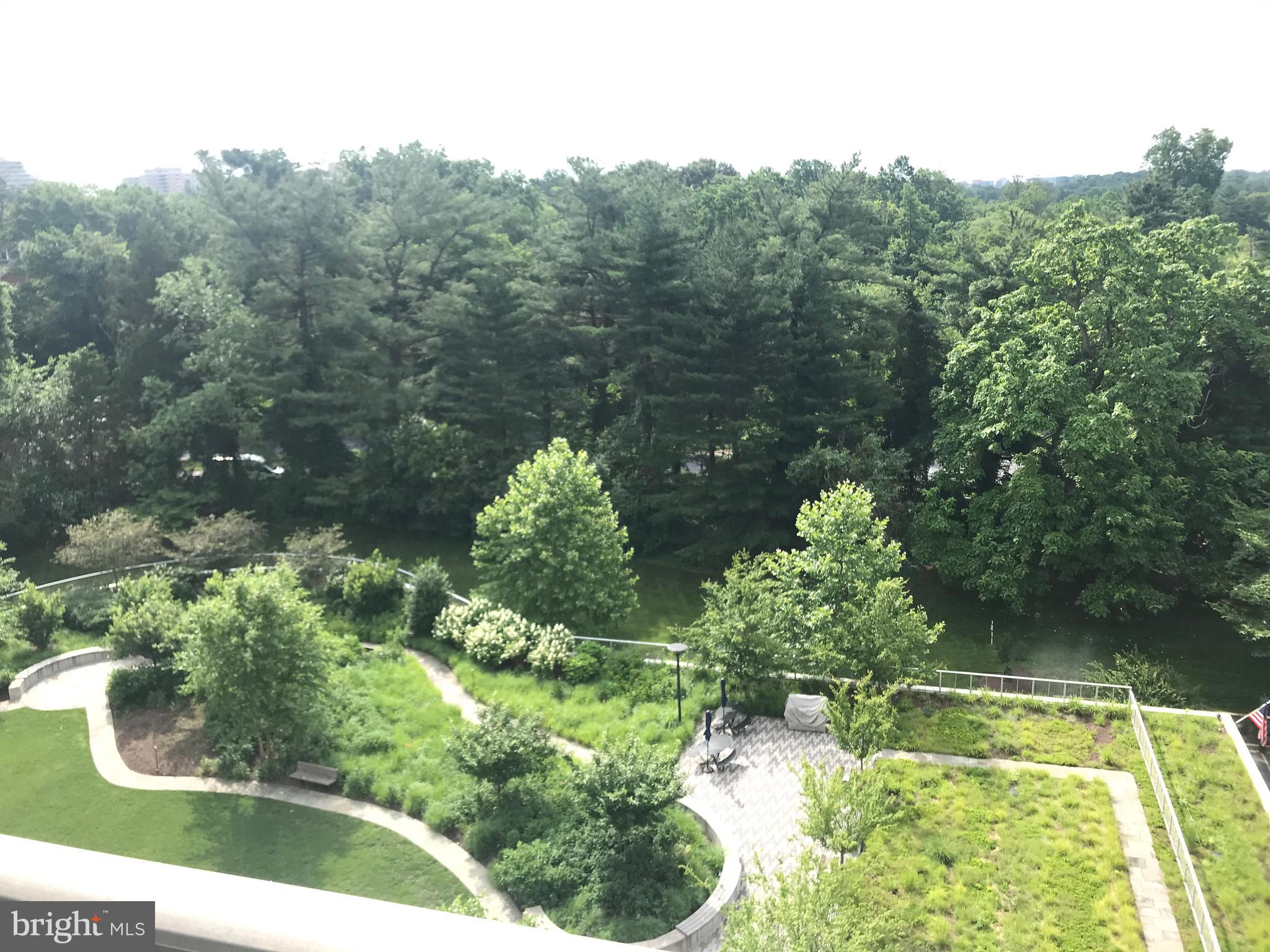5101 River Road, Unit 904 Bethesda, MD 20816 - Photo 7 of 27 View from unit