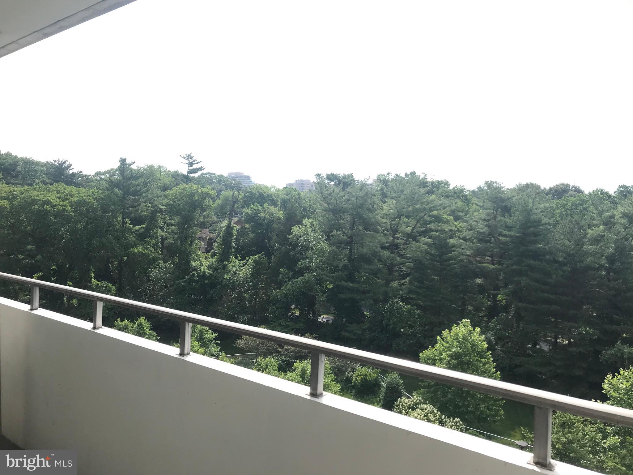 5101 River Road, Unit 904 Bethesda, MD 20816 - Photo 10 of 27 View from unit