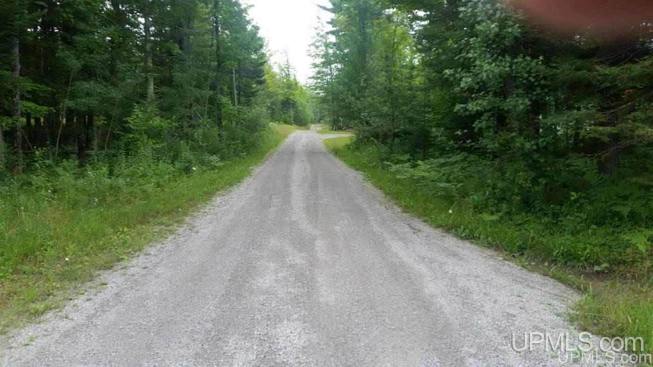 Co Road Daggett, MI 49887 - Photo 12 of 12