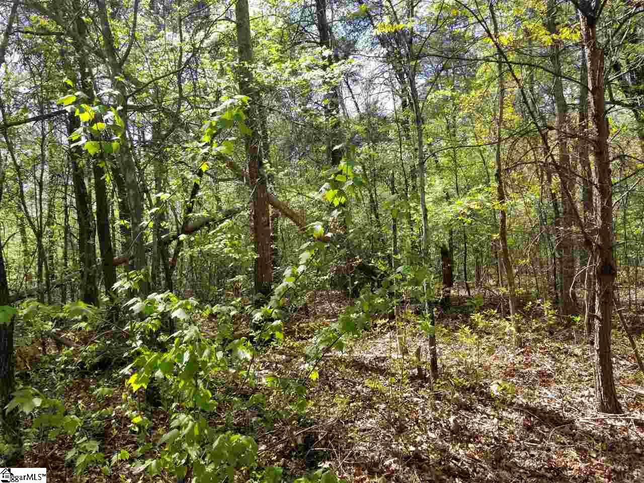 112 Cornfield Road Inman, SC 29349 - Photo 5 of 8