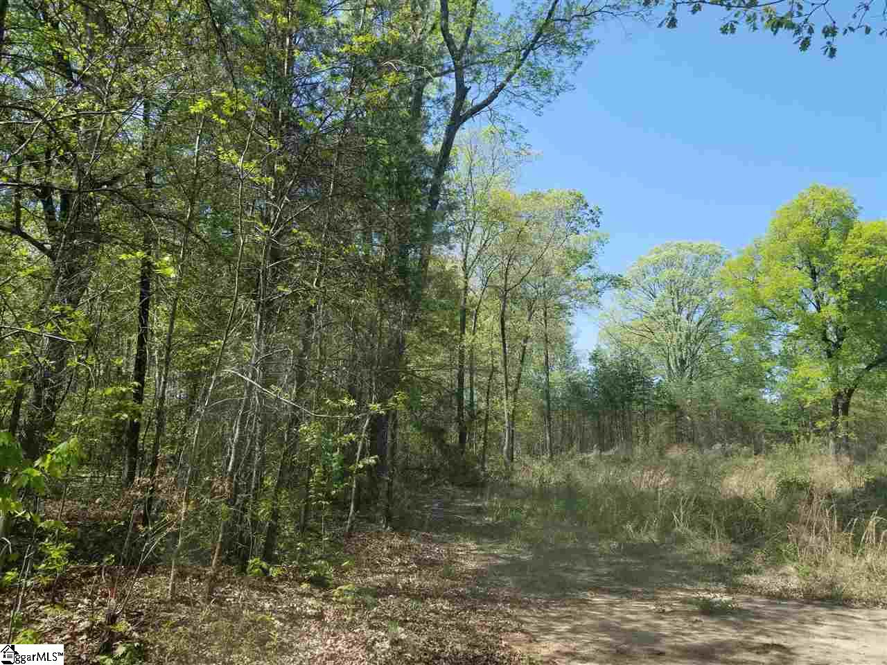 112 Cornfield Road Inman, SC 29349 - Photo 6 of 8