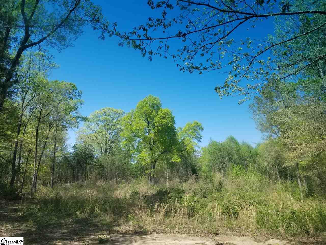 112 Cornfield Road Inman, SC 29349 - Photo 7 of 8