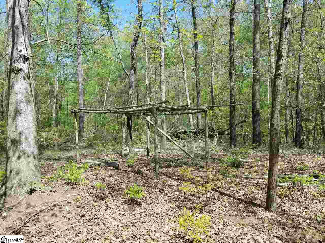 112 Cornfield Road Inman, SC 29349 - Photo 8 of 8