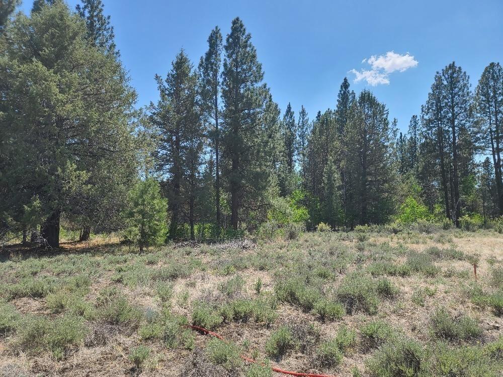 23110 East Forbes Road Sprague River, OR 97639 - Photo 10 of 15 land556 9