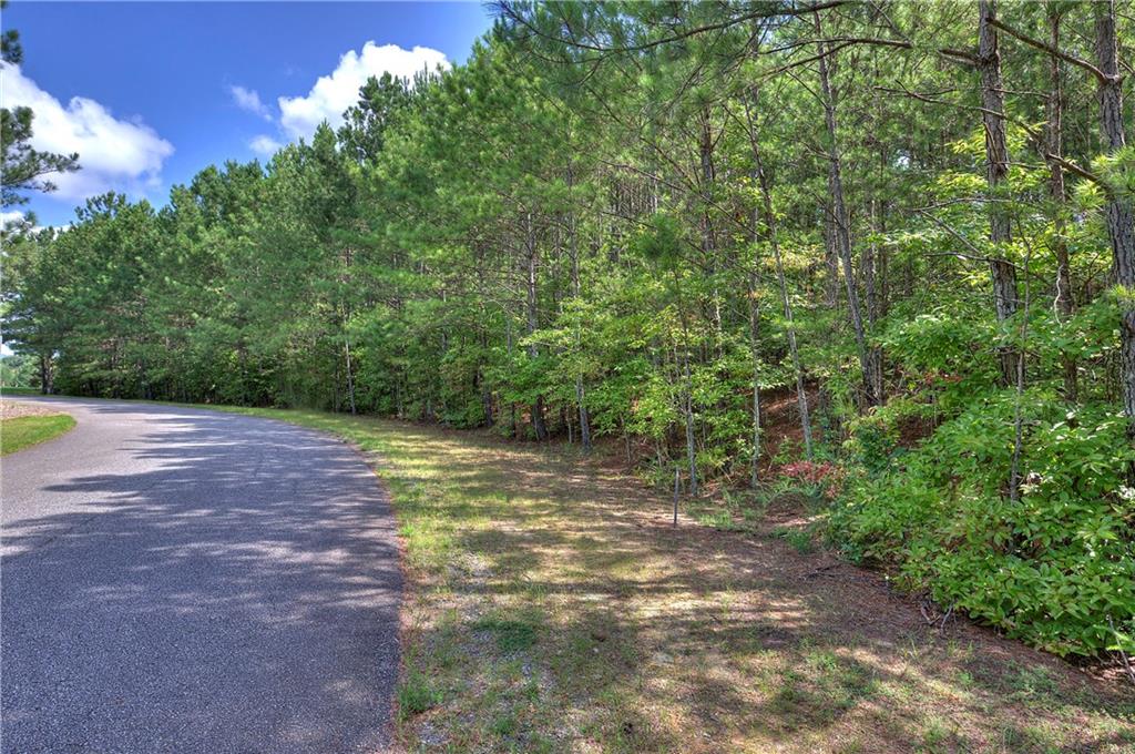208 Plowline Ridge Canton, GA 30114 - Photo 1 of 1 208 Plowline Rdg Canton, GA 3.29 acres
