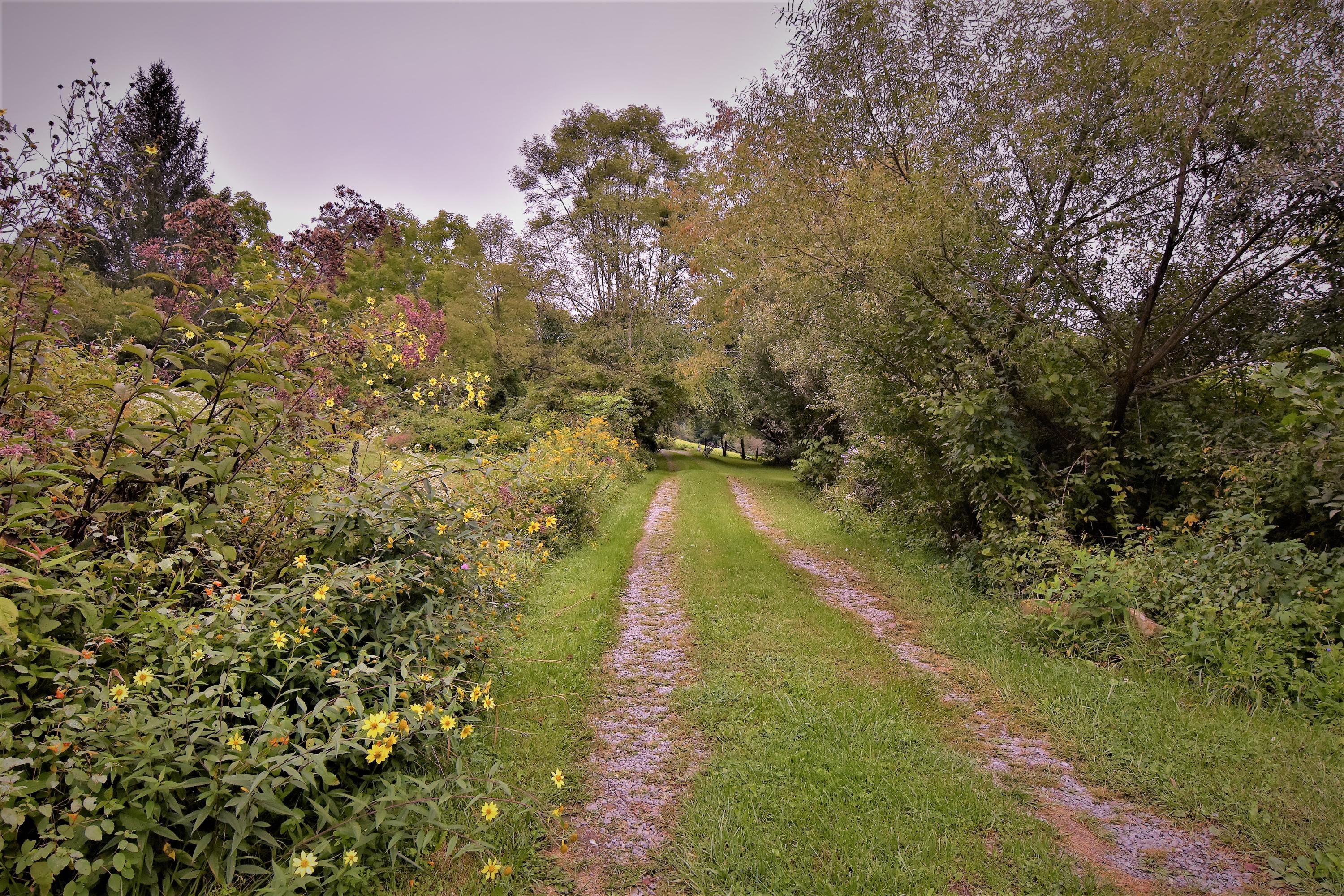 1004 True Road Hinton, WV 25951 - Photo 41 of 41 Gallery Image 41