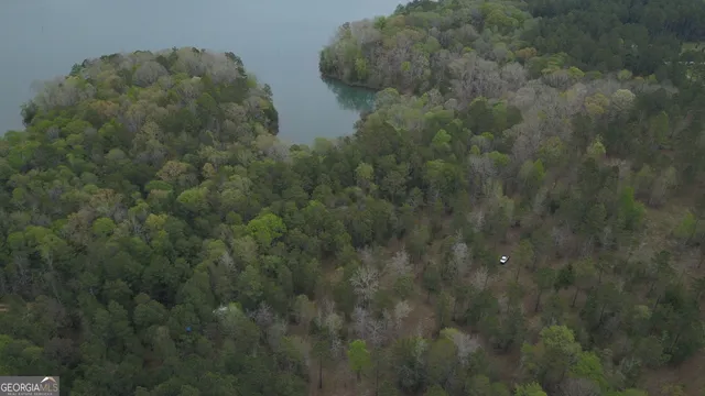 a view of a lake and a yard in back