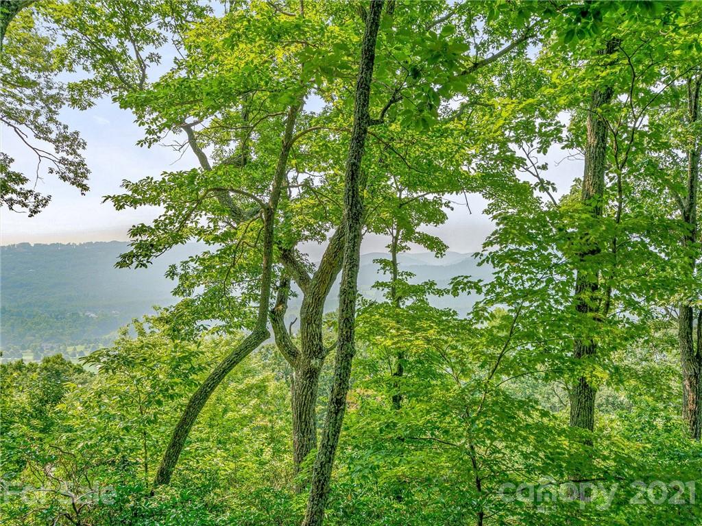 1215 Rockcrest Way, Unit CWC1067 Arden, NC 28704 - Photo 14 of 45 Gallery Image 14