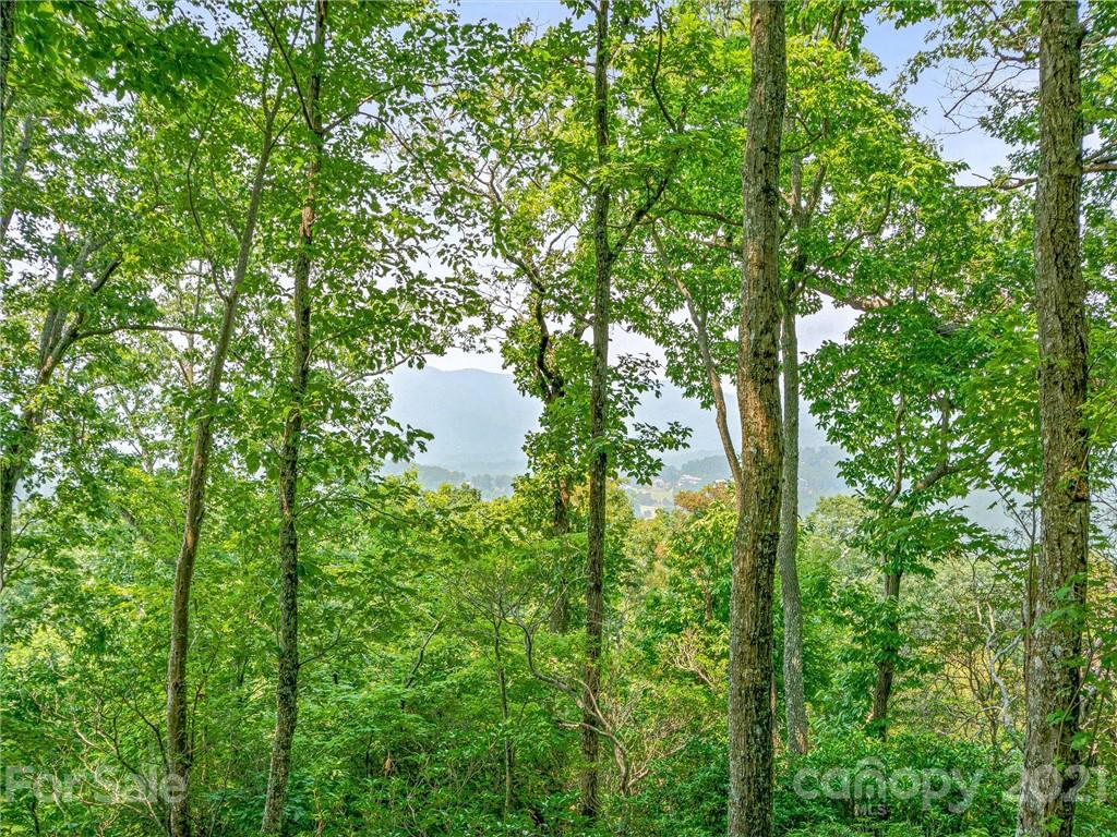 1215 Rockcrest Way, Unit CWC1067 Arden, NC 28704 - Photo 15 of 45 Gallery Image 15