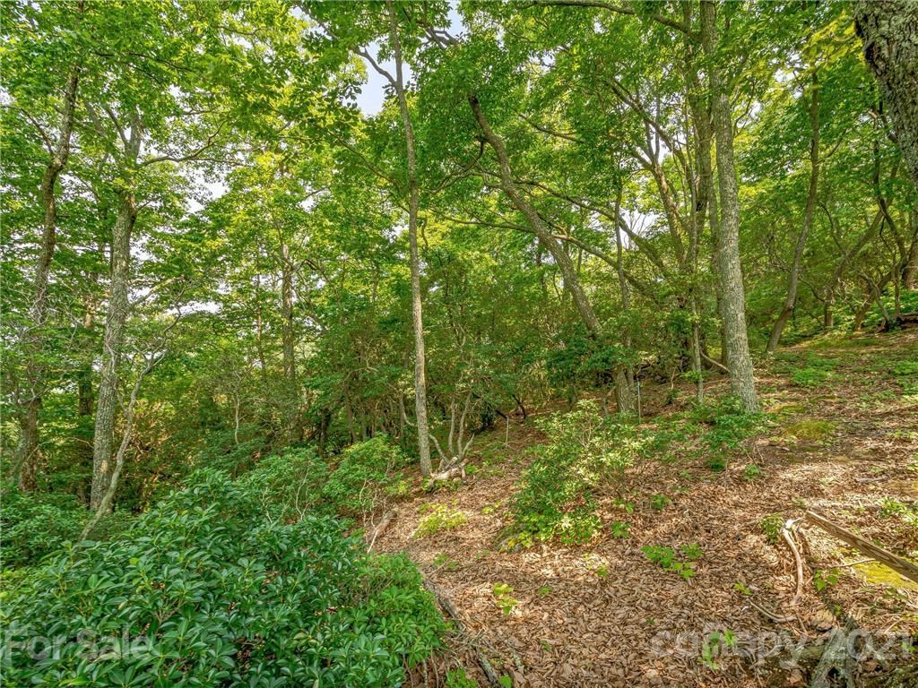 1215 Rockcrest Way, Unit CWC1067 Arden, NC 28704 - Photo 16 of 45 Gallery Image 16