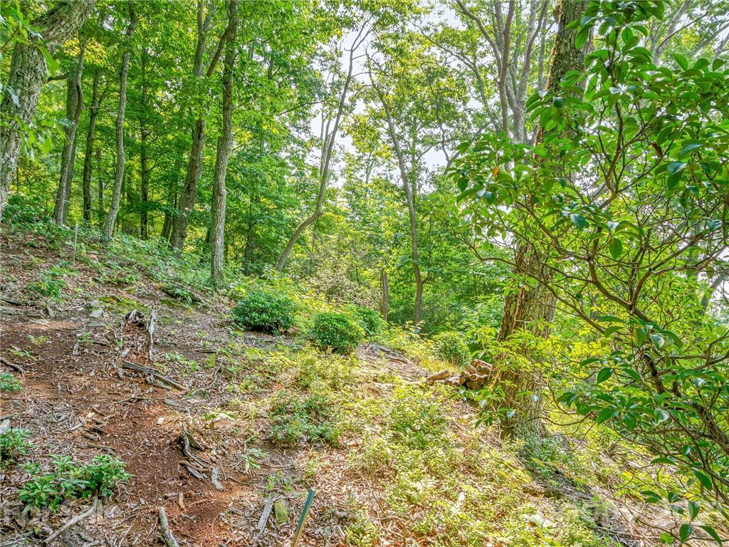 1215 Rockcrest Way, Unit CWC1067 Arden, NC 28704 - Photo 17 of 45 Gallery Image 17