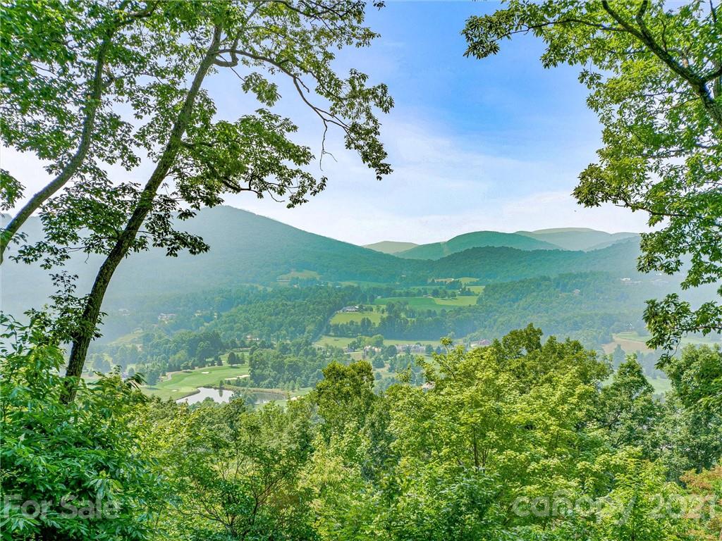 1215 Rockcrest Way, Unit CWC1067 Arden, NC 28704 - Photo 3 of 45 Gallery Image 3