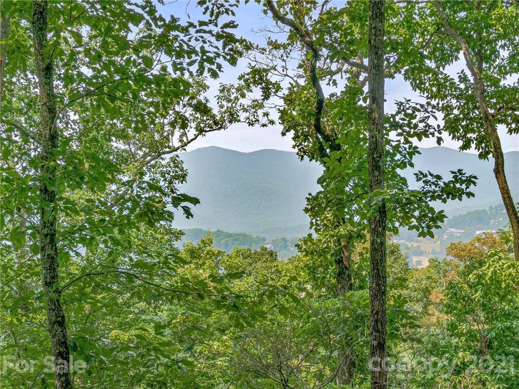 1215 Rockcrest Way, Unit CWC1067 Arden, NC 28704 - Photo 21 of 45 Gallery Image 21
