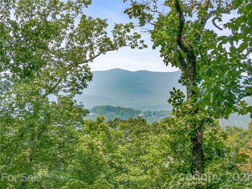 1215 Rockcrest Way, Unit CWC1067 Arden, NC 28704 - Photo 22 of 45 Gallery Image 22