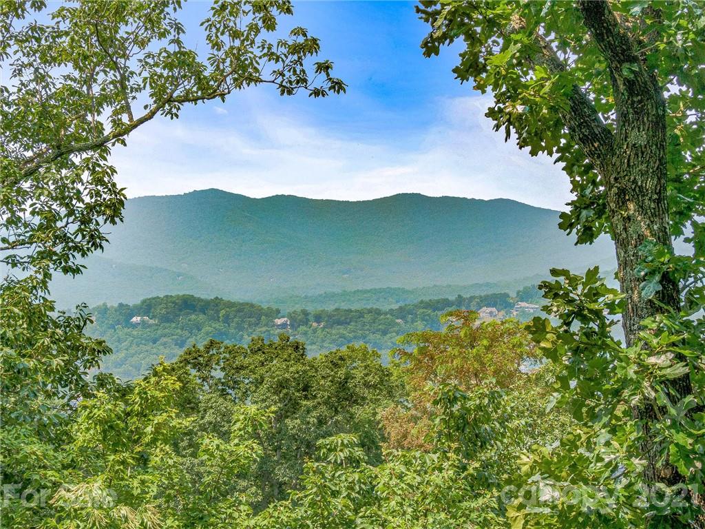 1215 Rockcrest Way, Unit CWC1067 Arden, NC 28704 - Photo 23 of 45 Gallery Image 23
