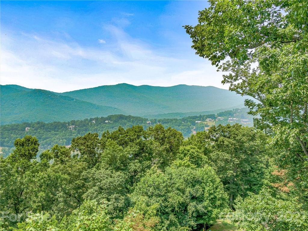 1215 Rockcrest Way, Unit CWC1067 Arden, NC 28704 - Photo 4 of 45 Gallery Image 4