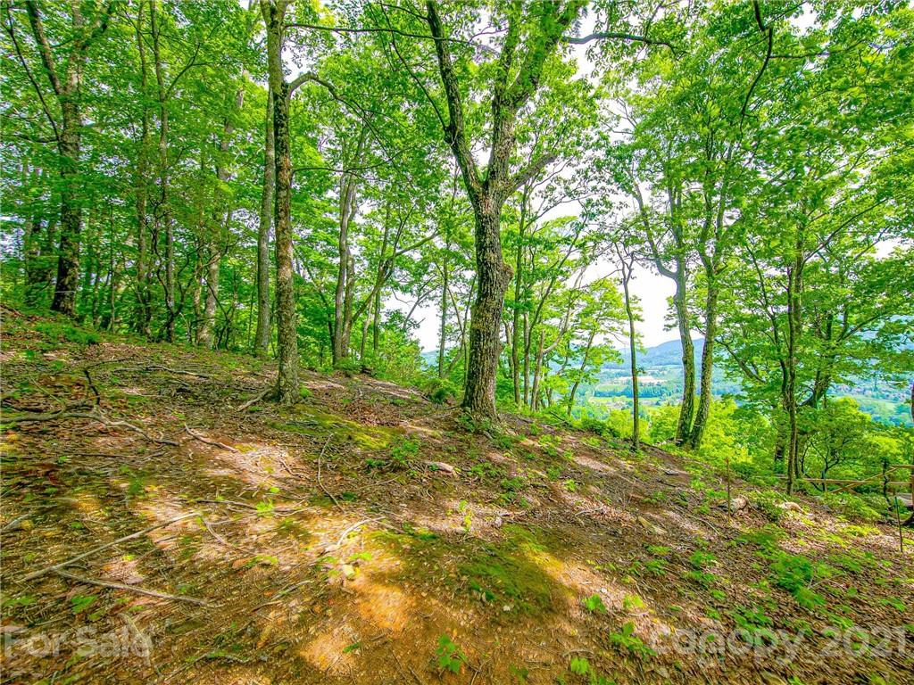 1215 Rockcrest Way, Unit CWC1067 Arden, NC 28704 - Photo 36 of 45 Gallery Image 36