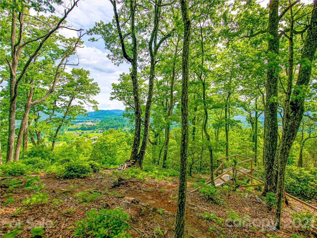 1215 Rockcrest Way, Unit CWC1067 Arden, NC 28704 - Photo 38 of 45 Gallery Image 38