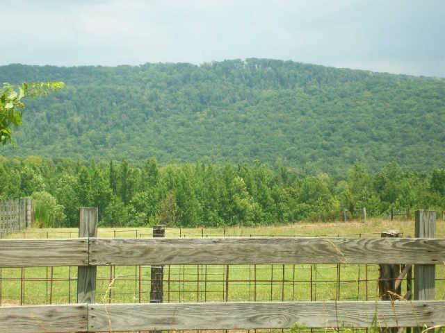 1894 Chestnut Grove Road Morrison, TN 37357 - Photo 4 of 16