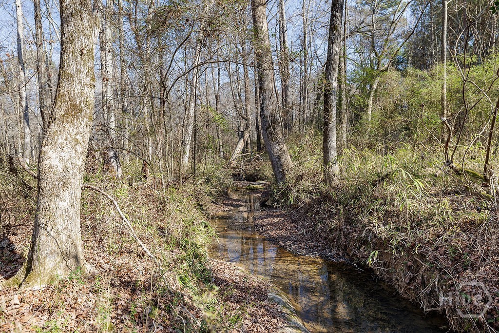 2644 Nunnally Shoals Road Good Hope, GA 30641 - Photo 13 of 17 Gallery Image 13