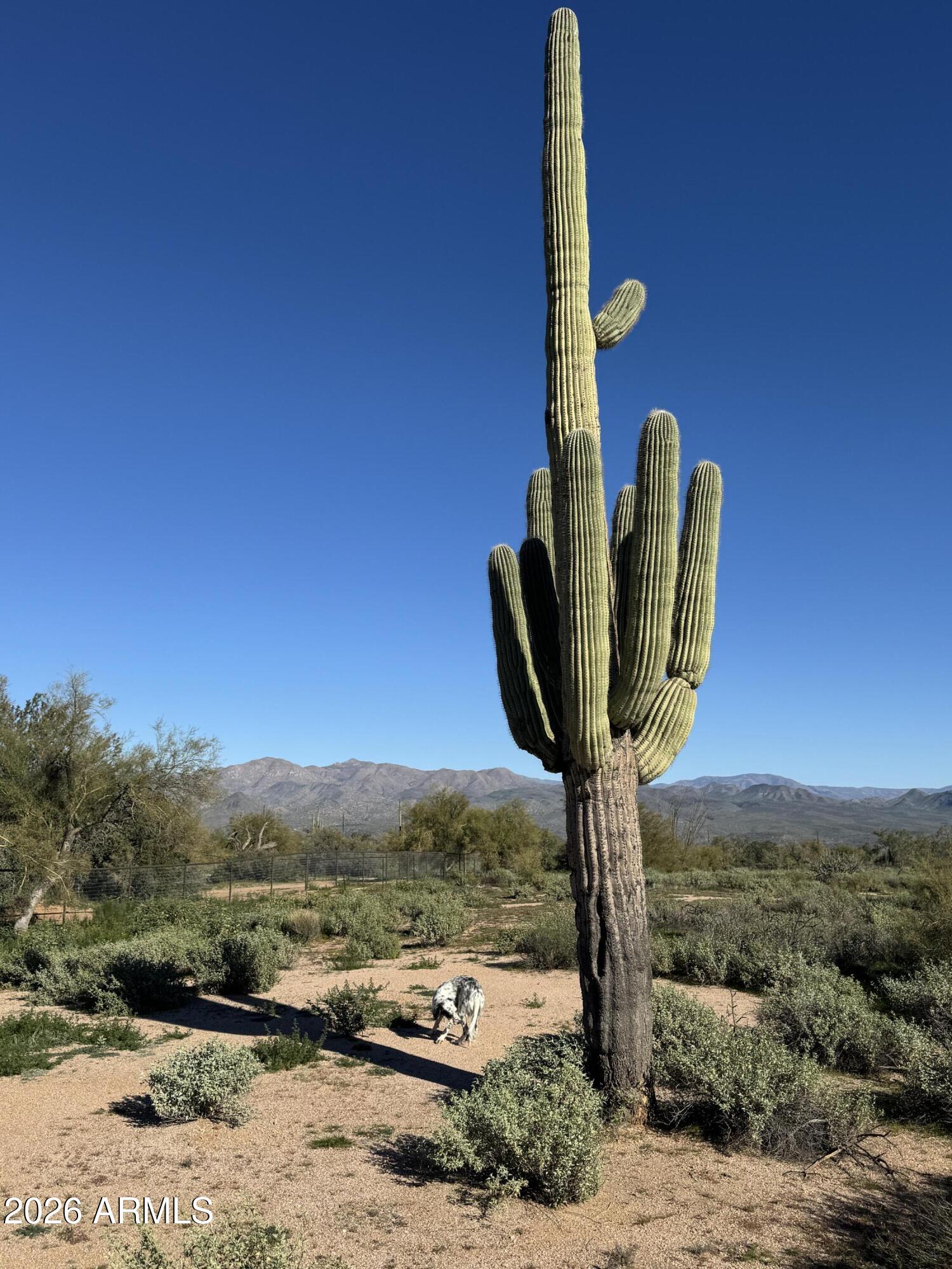 0 North 172nd Street Rio Verde, AZ 85263 - Photo 3 of 5 Great horse property!