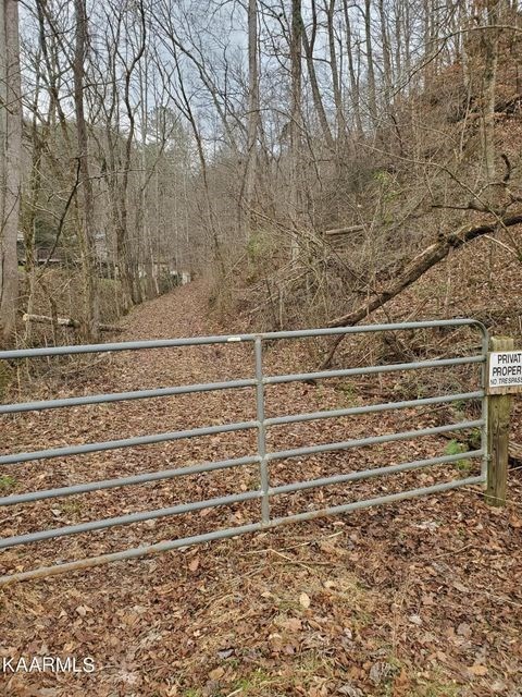 0 Dripping Springs Road Seymour, TN 37865 - Photo 2 of 32 Gallery Image 2