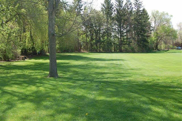 399 West Temperance Road Temperance, MI 48182 - Photo 5 of 18 REAR YARD