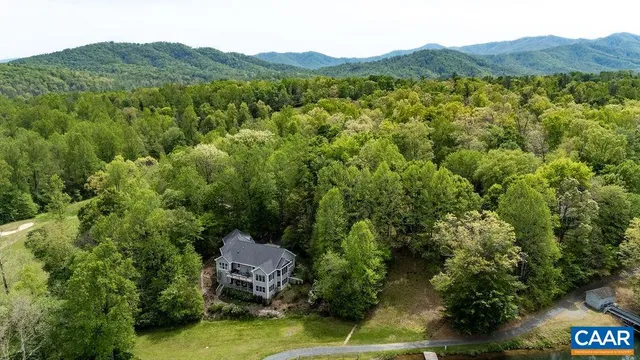 a view of a lush green forest with a house
