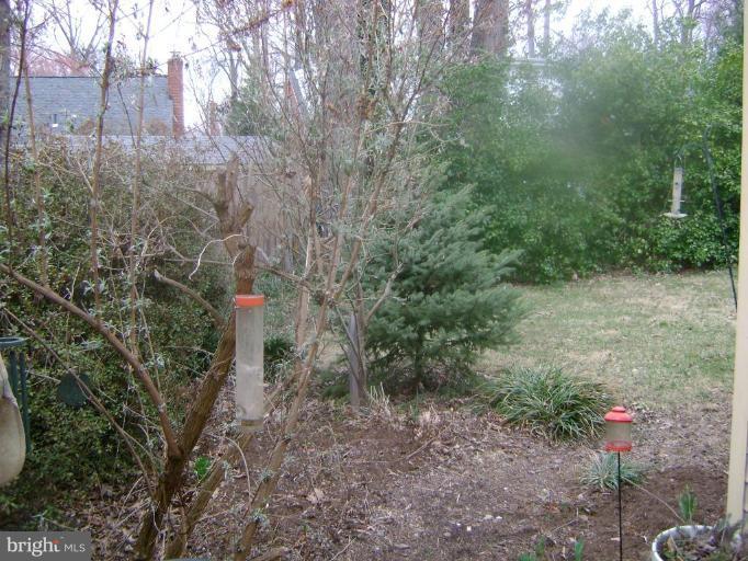 3209 Edgewood Road Kensington, MD 20895 - Photo 11 of 13 Mature Trees in fenced backyard