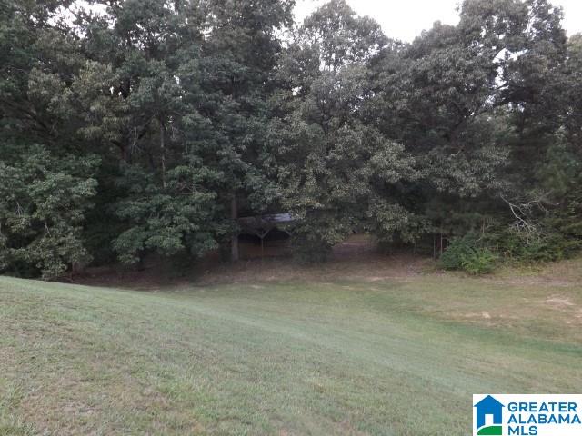 435 Wow Road, Unit 59 Blountsville, AL 35031 - Photo 32 of 49