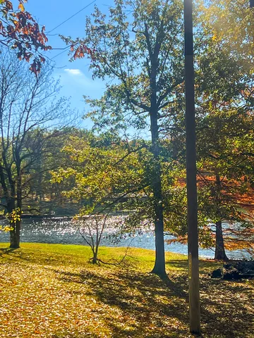 $325,000 | 381 County Road 100 East, Norris City, IL 62869