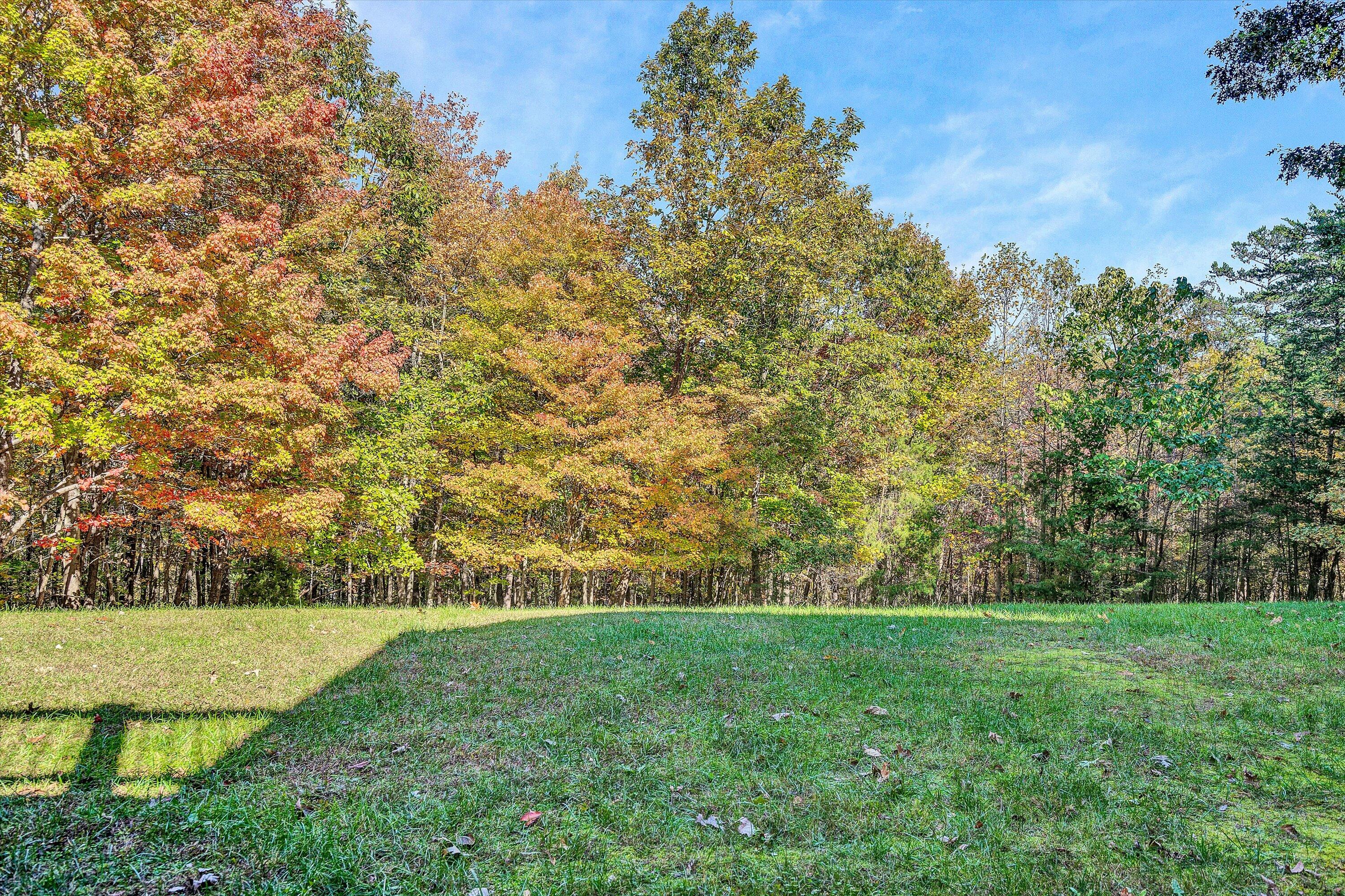 526 Stonebridge Drive Blue Ridge, VA 24064 - Photo 25 of 35 a view of yard with green space