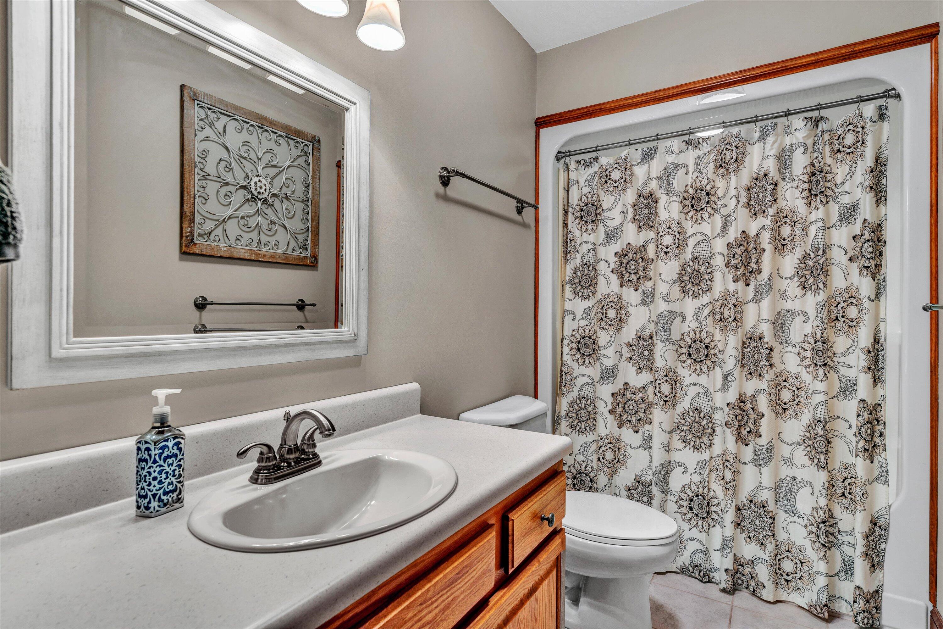 526 Stonebridge Drive Blue Ridge, VA 24064 - Photo 29 of 35 a bathroom with a sink toilet and a mirror