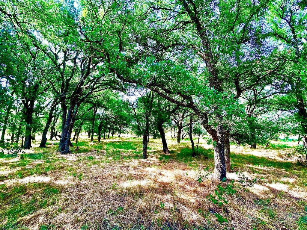 10840 281st Highway Perrin, TX 76486 - Photo 11 of 40 a view of a backyard with large trees