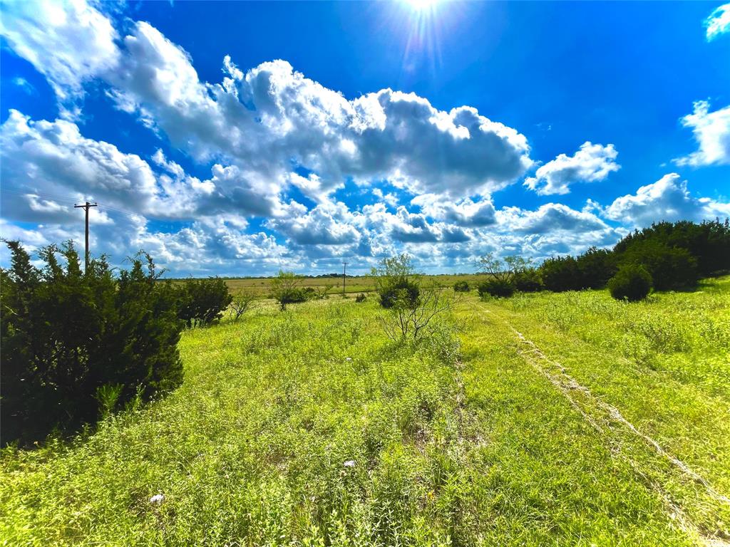 10840 281st Highway Perrin, TX 76486 - Photo 13 of 40 a view of a big yard