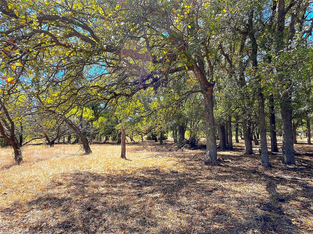 10840 281st Highway Perrin, TX 76486 - Photo 14 of 40 a view of snow with trees