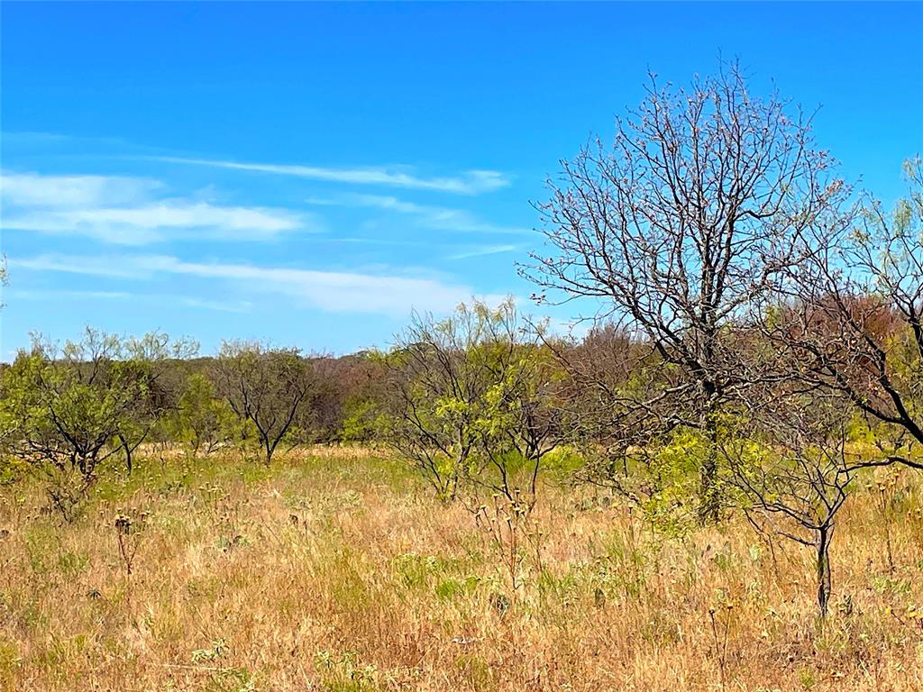 10840 281st Highway Perrin, TX 76486 - Photo 17 of 40 a view of mountain view with mountains in the background