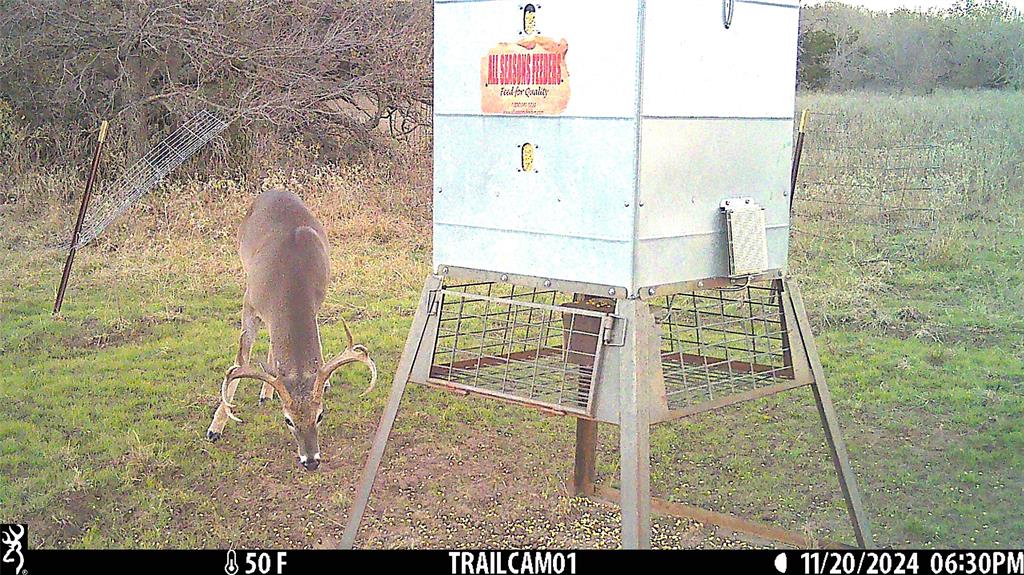 10840 281st Highway Perrin, TX 76486 - Photo 19 of 40