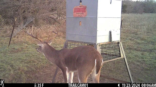a view of a green field