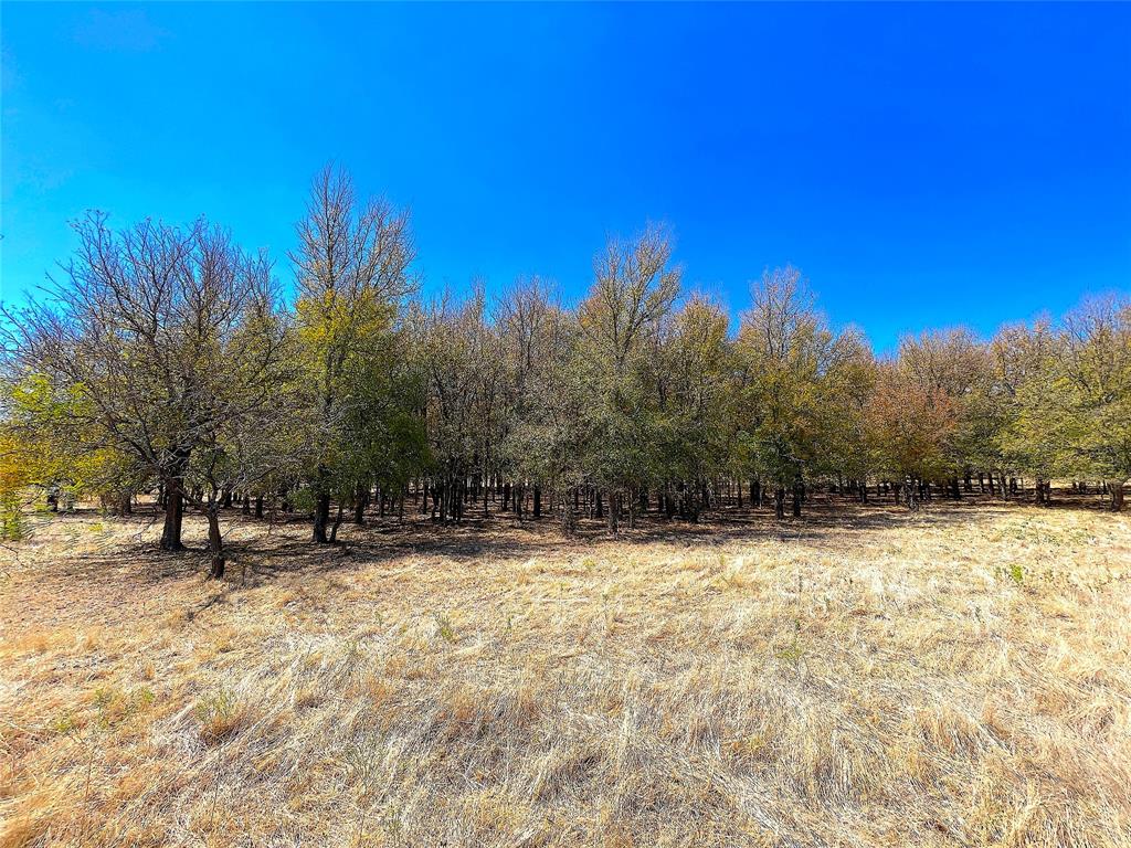10840 281st Highway Perrin, TX 76486 - Photo 21 of 40 a view of snow on the side of a road