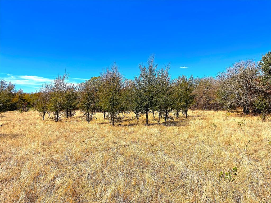10840 281st Highway Perrin, TX 76486 - Photo 24 of 40 a view of large yard with a house