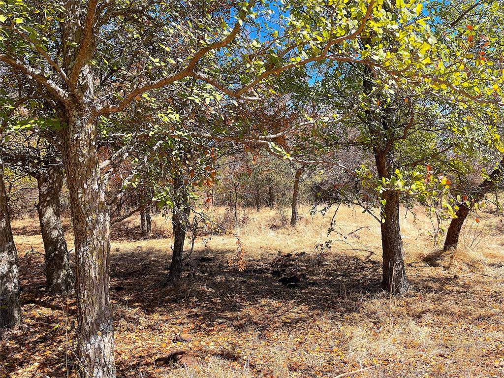 10840 281st Highway Perrin, TX 76486 - Photo 25 of 40 a view of snow on a yard