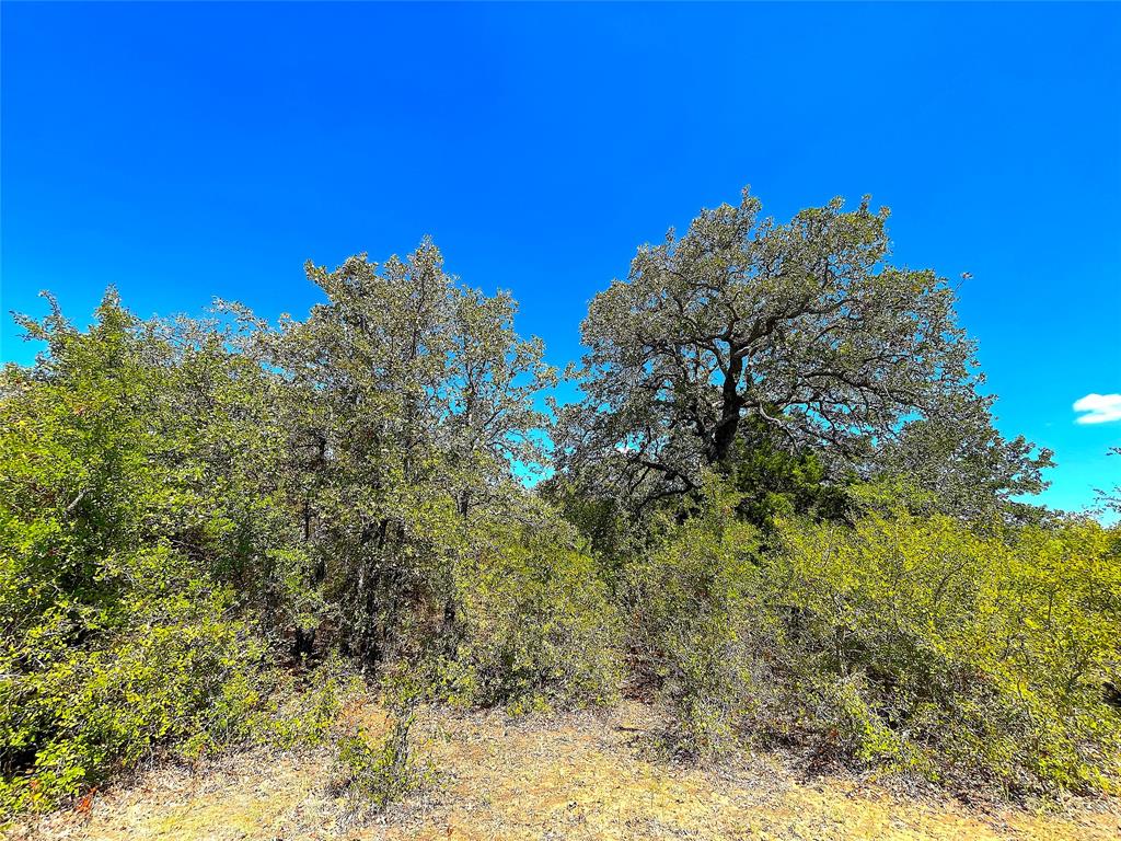 10840 281st Highway Perrin, TX 76486 - Photo 27 of 40 a view of a big yard with large trees