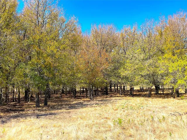 a view of outdoor space with trees