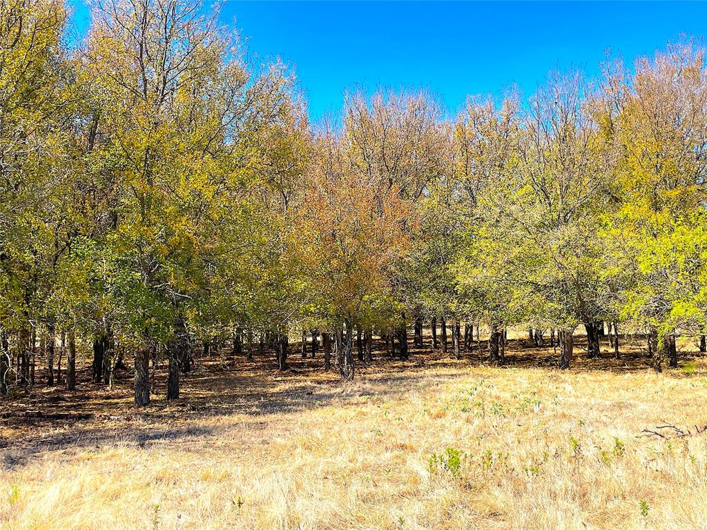 10840 281st Highway Perrin, TX 76486 - Photo 28 of 40 a view of house with outdoor space
