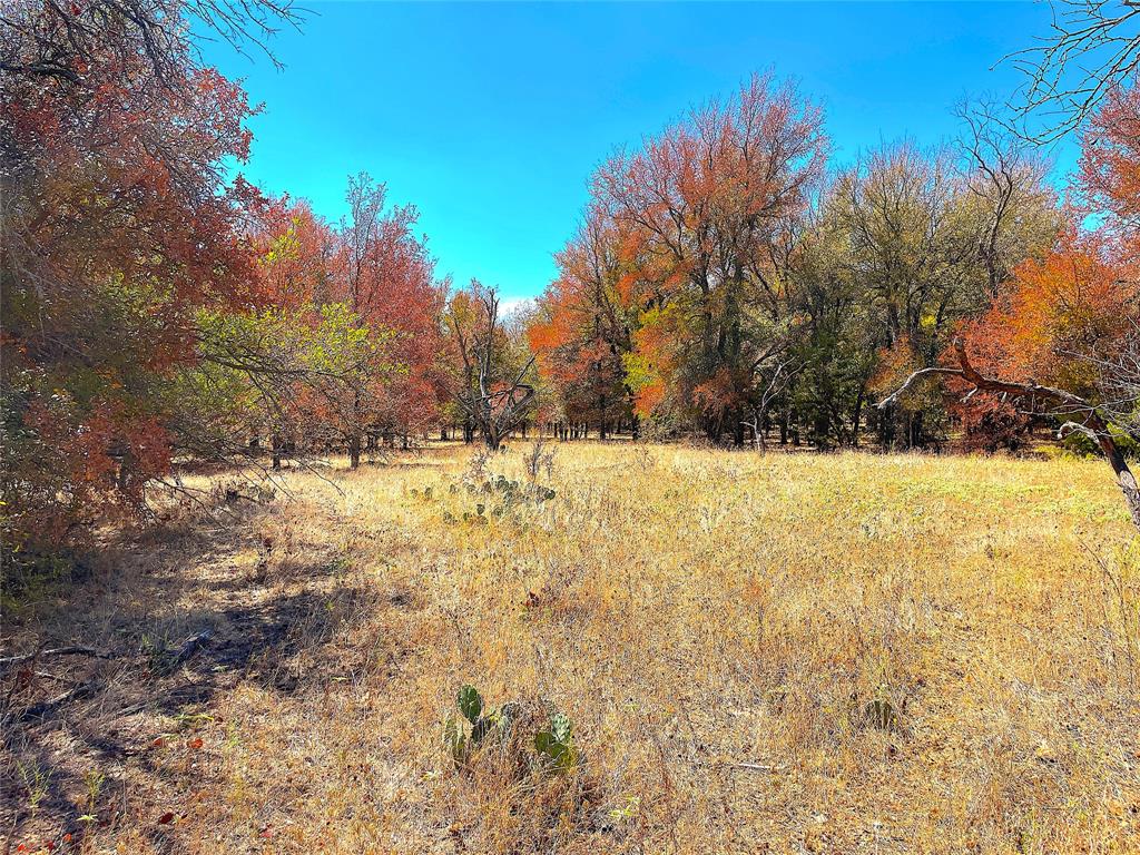 10840 281st Highway Perrin, TX 76486 - Photo 29 of 40 a view of yard covered with snow