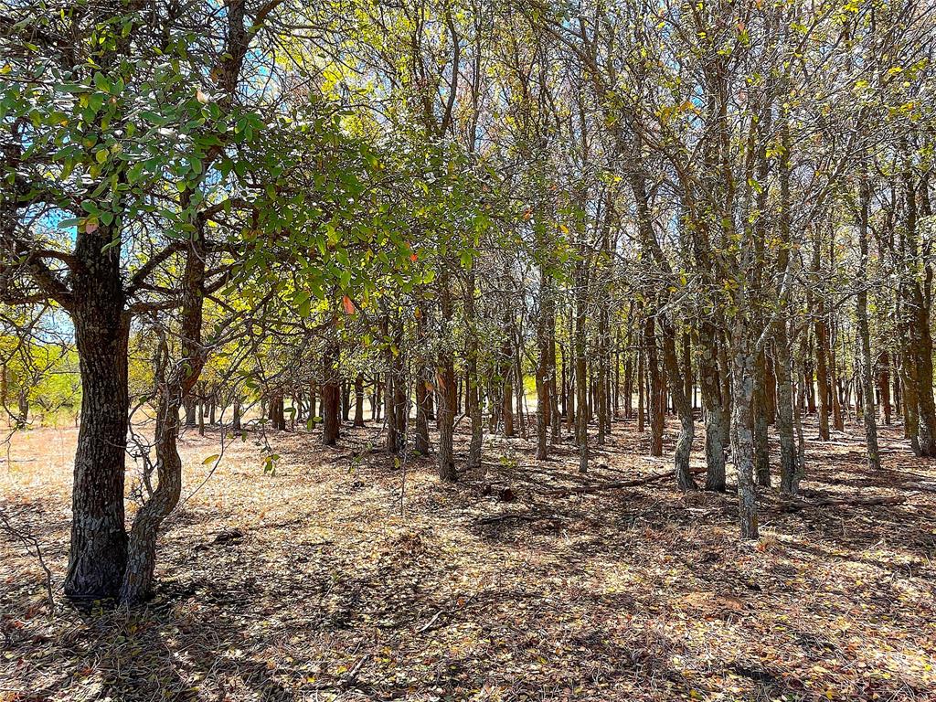 10840 281st Highway Perrin, TX 76486 - Photo 30 of 40 a view of outdoor space with trees